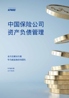 中國(guó)保險(xiǎn)公司資產(chǎn)負(fù)債管理與資產(chǎn)管理的融合與創(chuàng)新